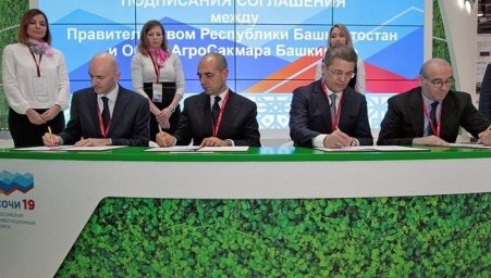 Башкирия подписала первые соглашения на инвестфоруме "Сочи-2019"