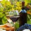 Заксобрание Кубани выступает за снижение барьеров для виноделов