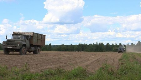 Тверская область получит 740 млн рублей на возмещение затрат по кредитам в сельском хозяйстве