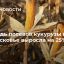 Площадь посевов кукурузы в Подмосковье выросла на 25%