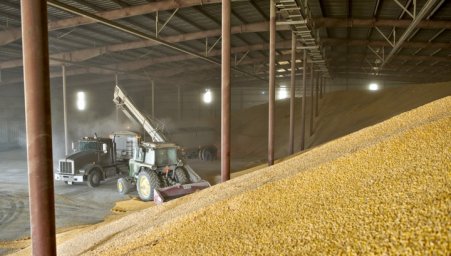 Патрушев: в 2020 году в России могут собрать 120 миллионов тонн зерна