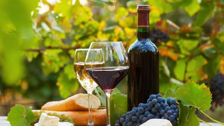 Заксобрание Кубани выступает за снижение барьеров для виноделов