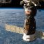 Беркович: российская космическая оранжерея может быть готова к 2020 году