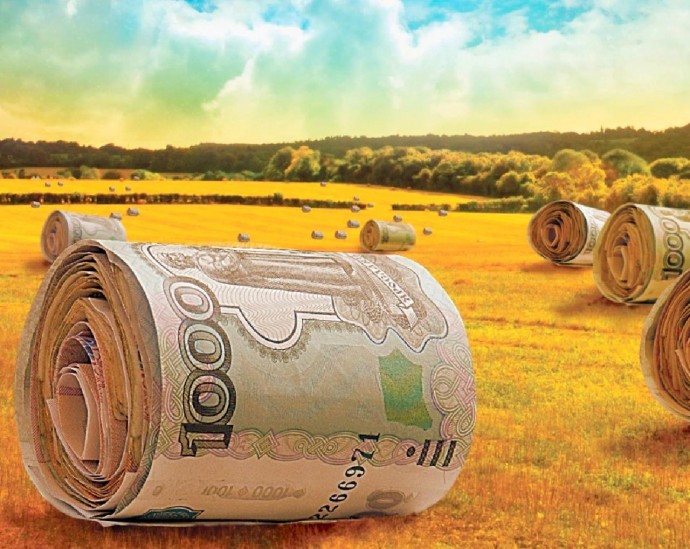 Объем господдержки сельхозпроизводителей РФ в 2019 году увеличится на треть